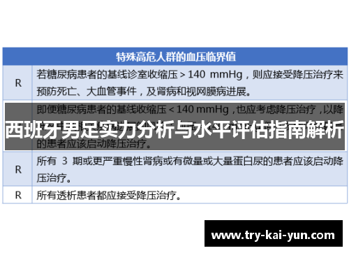 西班牙男足实力分析与水平评估指南解析