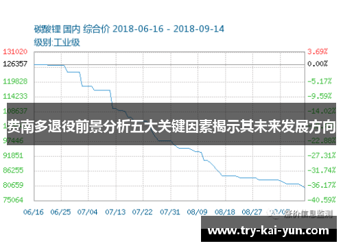 费南多退役前景分析五大关键因素揭示其未来发展方向